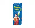 Mothers Flower Pots Asoka